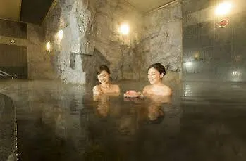 Natural Spa Hotel Paco Obihiro 4*,